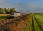 1116 141 mit einem Containerzug am 08.10.2015 bei Plattling.