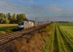 1116 141 mit einem Containerzug am 08.10.2015 bei Plattling. 