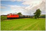 1141.21 fhrt mit Slp 19842 von Linz Stahlwerke nach Summerau.  Doberhagen 9.8.2010