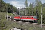 1142 593 + 1144 212 mit Güterzug bei Breitenstein am 25.04.2017.