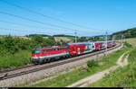 Eine halbe Stunde später hing dann wie erhofft eine 1142 am REX nach St. Pölten. 1142 610 erreicht am 29. Mai 2017 auf der alten Westbahn in Kürze den Bahnhof Pottenbrunn. Auf einen Güterzug wartete ich an dieser Stelle leider vergebens.