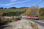 Bei dem wieder frisch gerodeten Abschnitt vor dem Wagnergraben-Viadukt fahren 1142.684+1144.029 mit G-54056 am 20.10.17 talwärts.