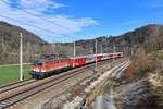 1142 688 mit R 5919 am 04.03.2019 bei Wernstein am Inn.