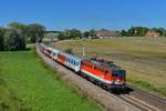 1142 667 mit einem Regio am 14.08.2017 bei Neumarkt-Kallham.