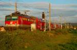 1142 688 bringt den REX 7132 von Wien FJB nach Krems/Donau. Das Foto entstand am 01.10.2008 zwischen Muckendorf und Langenlebarn.