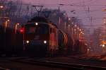 1142 587 und 1144 270 warten auf die Abfahrt Richtung Wien im Bahnhof Stockerau.