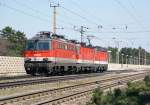 1142 654  PHILOMENA  rollt am Zugschluss eins Lokzuges in Richtung Wiener Neustadt. St.Egyden, 11.04.2009