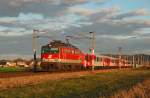 1142 688 mit REX 2170 von Wien Franz Josefs Bahnhof nach Sigmundsherberg in der spten Nachmittagssonne.