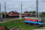 BB 1142 610 (mit goldfarbenem Pflatsch seitlich) am R 5917 Passau - Linz in Wels (Haidestrae), mit Felbermayr/RCA-Steyr-LKW  Wir bringen’s zur Bahn .