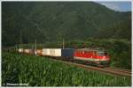 1142.631 mit DG 50674 von Kalsdorf Terminal nach St. Michael, aufgenommen bei Bruck a.d. Mur am 20. Juli 2010