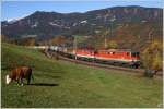 1142 654  Philomena  und 1142 707 ziehen den SRID 91025 von Stadlau nach Klagenfurt ber die Apfelwiese nahe Eichberg.