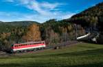 1142 618 fhrt als Lz den Berg hinab. Eichberg, am 05.11.2010.