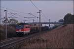 Die 1142 632 wurde am 04.11.2011 fr den DG 55022 eingeteilt. Hier kurz nach Gramatneusiedl.