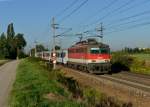 1142 633 mit einem REX nach Linz Hbf am 20.08.2012 unterwegs bei Marchtrenk.