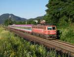 Dieses Bild zeigt die 1142 564 welche am Morgen des 29.06.2011 mit OIC 552 von Graz nach Wien ber die legendre Sdbahn unterwegs war. Dieses Bild entstand in Deutschfeistritz, leider ist diese Stelle seit gut einem Jahr durch die Errichtung von fragwrdigen Lrmschutzwnden vllig entstellt.