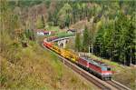 1142 614 vor 1142 644 (?) vor Gterzug auf der Semmeringnordrampe beim Hllgrabenviadukt, 25.4.2013