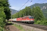 1142.638+1116 fahren mit GAG-53515 zwischen Payerbach und Kb am 3.7.13 bergwrts.