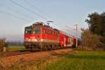 1142 688 ist mit dem REX 7122 von Wien nach Krems an der Donau unterwegs. Das Foto entstand kurz vor Muckendorf-Wipfing, am 28.10.2014.