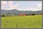 Zwei 1144er fahren mit einem Gterzug am 20.06.05 bei Niederaudorf Richtung Rosenheim.