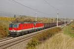 1144 207 + 1144 083 mit Güterzug bei Pfaffstätten am 18.10.2017.