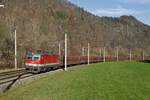 1144 056 mit GZ47407 zwischen Bruck an der Mur und Pernegg am 14.11.2017.