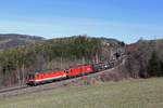 Bei der Steinbauer-Wiese am Eichberg fahren 1144.210+1116.194 mit GAG-47046 am 2.4.18 talwärts.