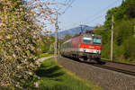 1144 041-1 mit dem IC 119 kurz hinter Altach Fahrtrichtung Feldkrich. 21.4.18