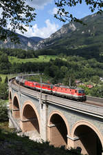 Der schwere Kessel-GAG-48485 befährt mit 1144.124+1142.698+1116 den Schwarzatal-Viadukt in Payerbach am 25.7.18