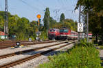 Begegnung von 1144 248-2 mit 218 435-6 auf dem Bahndamm in Lindau mit IC 118.