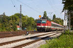 1144 248-0 mit IC 119 auf dem Lindauer Bahndamm. 18.8.18