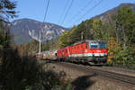 In herrlicher Herbststimmung befindet sich G-49415 unterhalb Küb mit 1144.205 und einer 1116 am 12.10.18