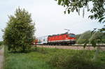 Ende April standen die Traubenkirschen an der Nordwestbahn in voller Blüte und strahlten einen wunderbaren Frühlingsduft aus. Bei Leobendorf-Burg Kreuzenstein schiebt der elegante Alpenstaubsauger 1144 207 den R 2226 (Wien Meidling - Retz) durch diese Idylle. 26.04.2019.