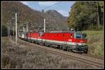 1144 266 + 1144 027 mit Güterzug zwischen Bruck/Mur und Pernegg am 23.10.2019.