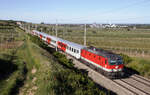1144 283 mit dem REX1957 bespannt mit 5 CRD  Ctiyshuttle  Wagen am Weg Richtung Wiener Neustadt aufgenommen beim Busserltunnel am 26.05.2021