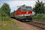 Mit starken Fahrtwinden im Gebck ist die Innsbrucker 1144 234 mit einem Schiebewandwagenganzzug bestehend aus FS Waggons auf dem Weg zum Brenner. (Niederaudorf am 03.07.07)