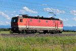 1144 235 als Lz am 15.06.2026 bei Gunskirchen.