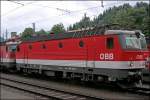 Portraitaufnahme der Innsbrucker 1144 244 (9181 1144 244-1). Aufgenommen am 07.07.2008 in Kufstein.
