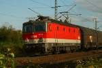 1144 237 mit ein Gterzug in Obertraubling.13.09.07