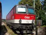 BB 1144 251, im Bahnhof von Lindau am Bodensee.Aufgenommen am 9.9.2009.