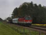 Die 1144 214 am 14.10.2010 mit einem Gterzug unterwegs bei Grokarolinenfeld.