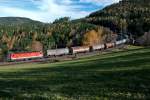 1144 079 rollt mit einem Kesselwagenganzzug den Berg in Richtung Payerbach-Reichenau hinunter.