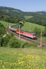 Den katastrophalen Lackzustand der 1144.080 merkt man im Vergleich zur 1144.215 besonders stark.