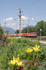 Der wunderschne Blumengarten in Eichberg bietet bei G-53515 mit 1144.006+1116 eine wunderschne Umrahmung.