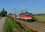 1144 008 mit einem REX am 20.08.2012 unterwegs bei Marchtrenk.