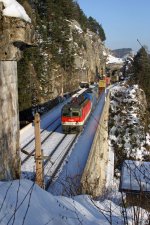 1144.253+Adria-Trans.2016 mit Container-GAG am Krausel-Viadukt.