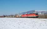 1144 031 und 1116 162 sind am 16.03.2013 mit 
dem Wenzelzug in Kremsdorf durchgefahren.