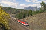 1144.250+116 mit G-55501 bei Frhlingsstimmung im Einschnitt zwischen Hllgraben und Steinbauer mit Schneeberg im Hintergrund am 18.4.13