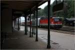 Unterstellen im Regen - Regional Express Durchfahrt im Bahnhof Rekawinkel...