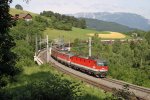 1144.106+1142 mit G-54703 am Abfaltersbachgraben-Viadukt bei Eichberg am 28.6.13.