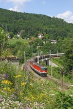 1144.093+055 mit G-55501 umgeben von herrlicher Landschaft am Kbgraben-Viadukt im Juli 2013.